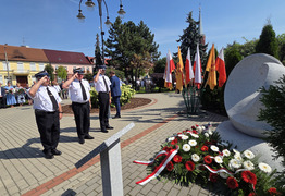 Złożenie kwiatów (photo)