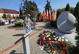 Złożenie kwiatów (photo)