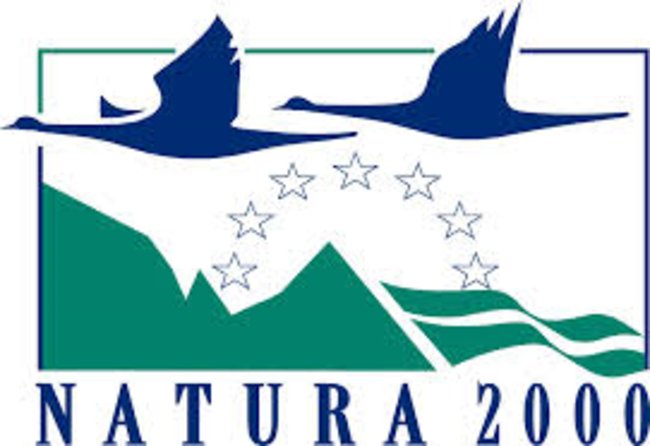 Obszar Natura 2000 - Będlewo-Bieczyny