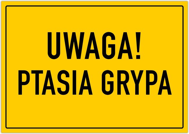 Ptasia grypa